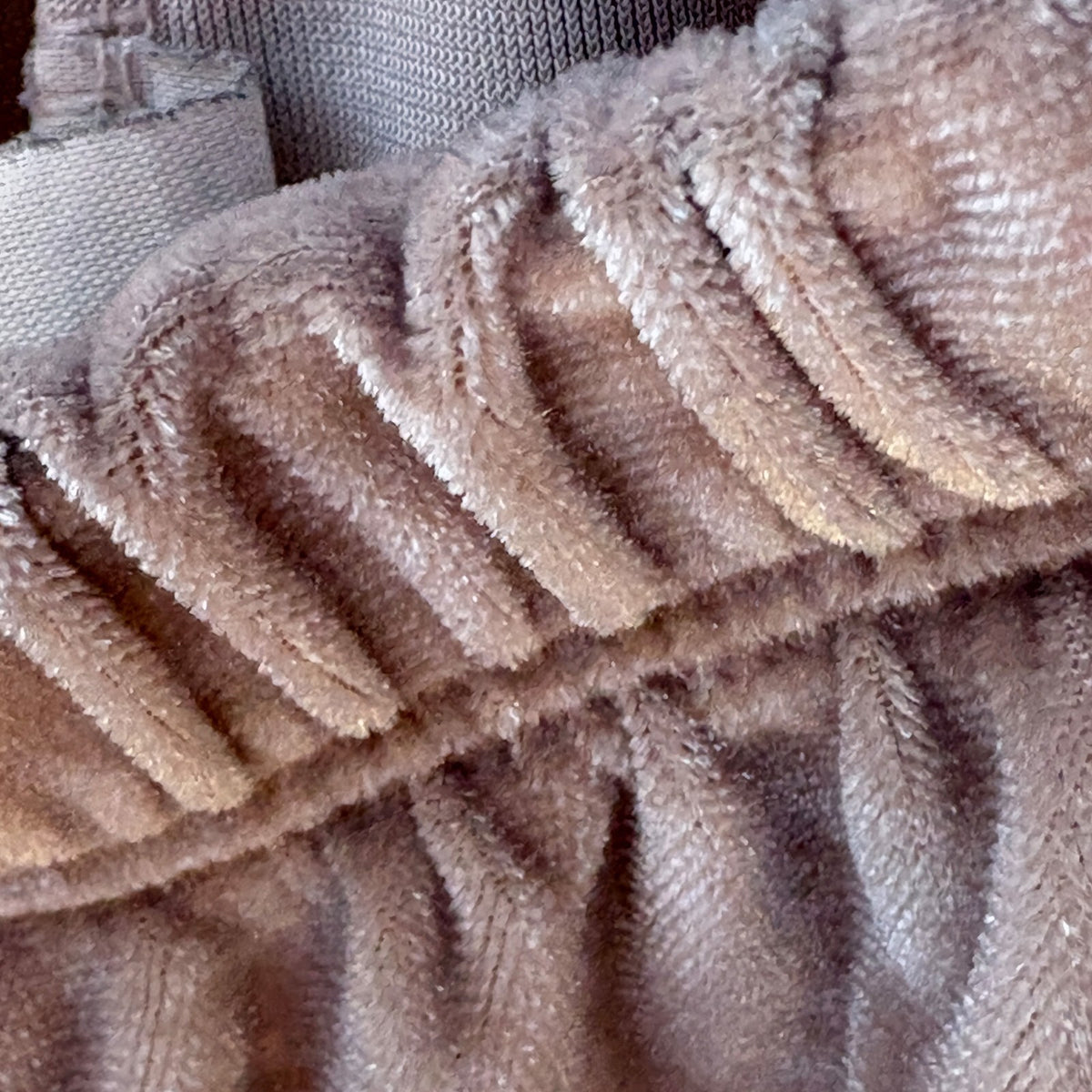 John Galt Shorts | Blush Velvet | OS
